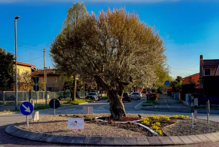 La bellezza non è solo in negozio